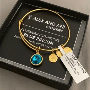 Alex and Ani birthstone bracelet